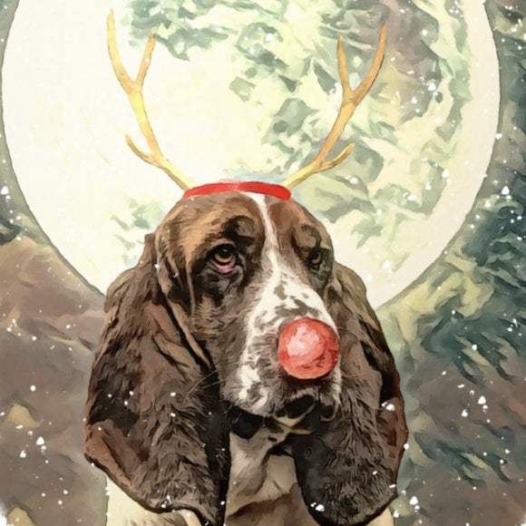 Funny Dog Christmas Cards