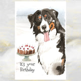 Bernese Mountain Dog Greetings Card, Funny Bernese Mountain Dog Card, Bernese Mountain Dog Birthday Card