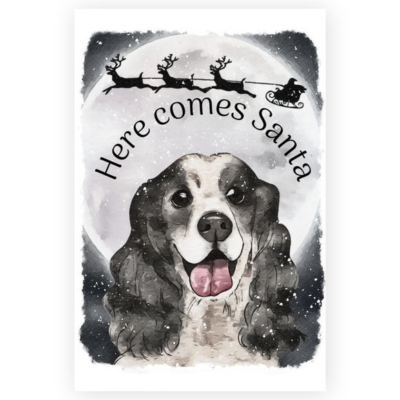 Cocker Spaniel Christmas Card