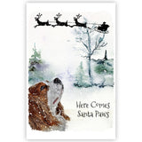 King Charles Spaniel Christmas Card