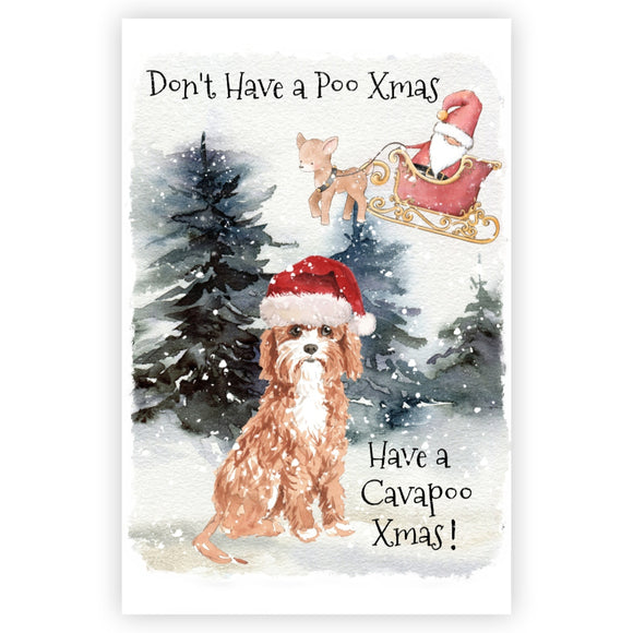 Cavapoo Christmas Card