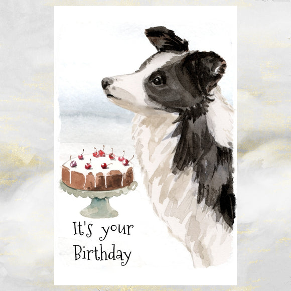 Border Collie Dog Birthday Card, Border Collie Dog Greetings Card, Border Collie
