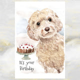 Cockapoo Dogs Greetings Cards