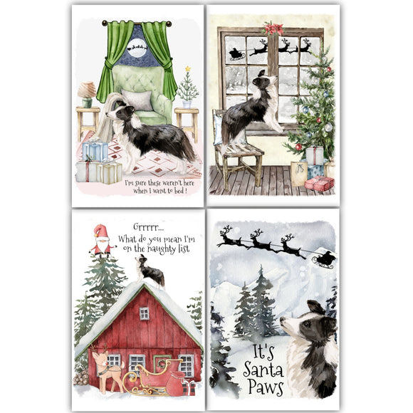 Border Collie Dog Christmas Cards