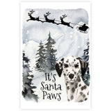 Dalmatian Christmas Card
