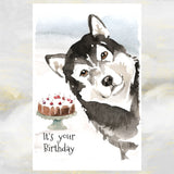 Alaskan Malamute Dog Birthday Card, Malamute Greetings Card, Malamute Dog Card.