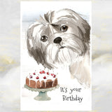 Shih Tzu Dog Birthday Cards