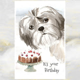 Shih Tzu Dog Greetings Card, Shih Tzu Birthday Card, Funny Shih Tzu Birthday Card
