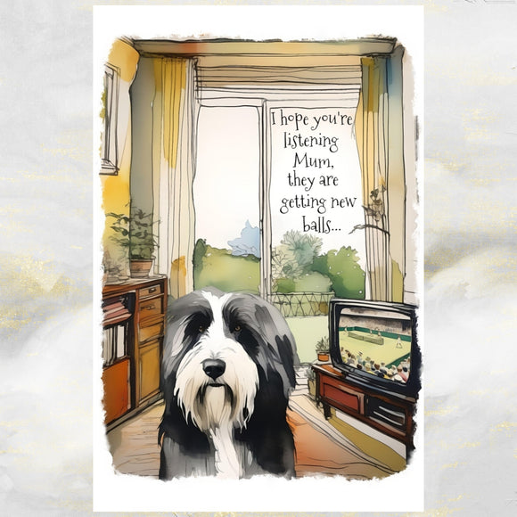 Funny Bearded Collie Dog Greetings Card