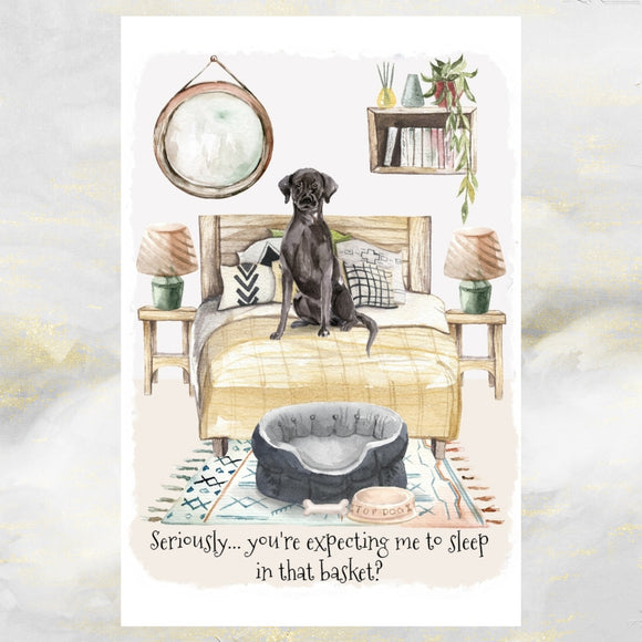 Black Labrador Dog Greetings Card, Funny Black Lab Dog Card, Boho Dog Art Card.