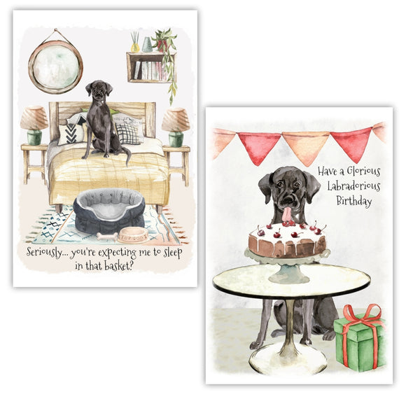 Black Labrador Dog Greetings Card