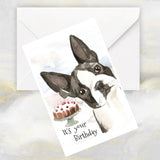 Boston Terrier Dog Birthday Card, Boston Terrier Dog Greetings Card, It's Your Birthday Boston Terrier Greetings Card