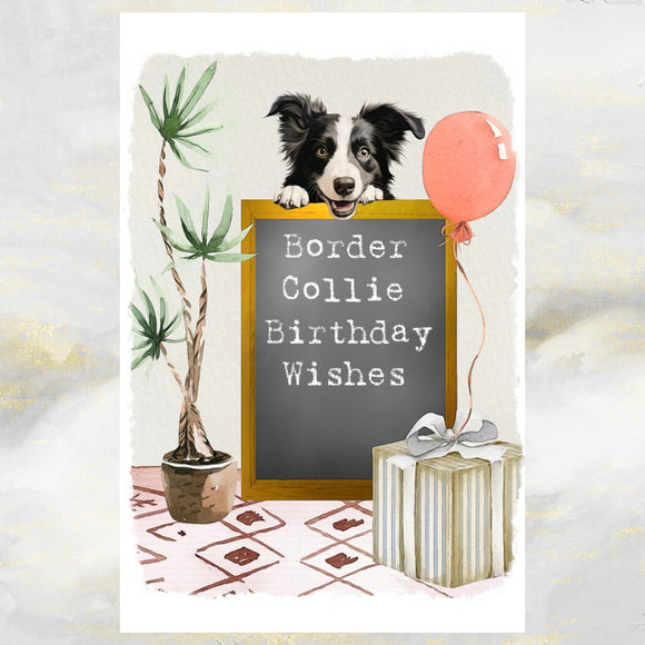 Border Collie Dog Birthday Greetings Card