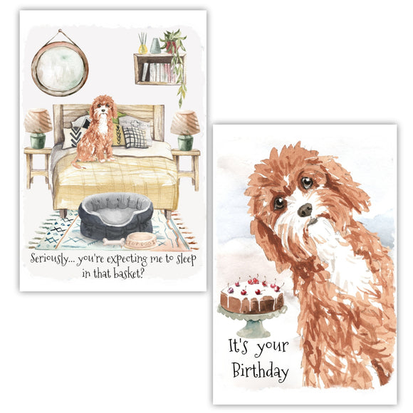 Cavapoo Dogs Greetings Cards