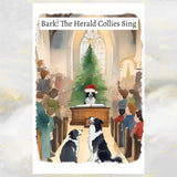 Border Collie Dogs Christmas Card