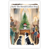 Border Collie Dogs Christmas Card