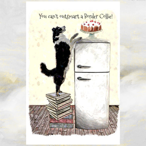 Border Collie Dog Funny Birthday Greetings Card