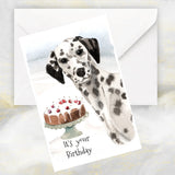 Dalmatian Dog Greetings Card, Dalmatian Dog Birthday Card, Funny Dalmatian Dog Greetings Card