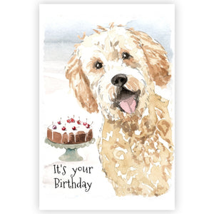 Golden Doodle Dog Birthday Card, Golden Doodle Greetings Card, Golden Doodle Birthday Card