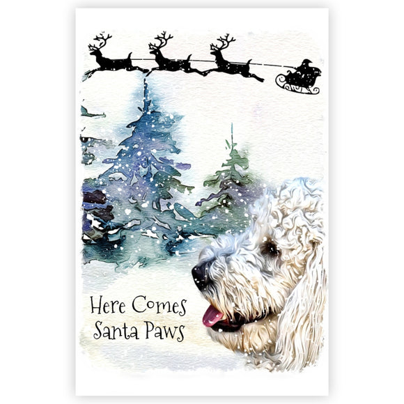goldendoodle Christmas Card