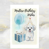 Maltese Dog Birthday Greetings Card.