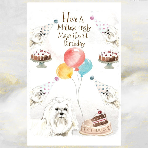 Maltese Dog Birthday Card, Funny Maltese Dog Birthday Card, Maltese Dog Greetings Card