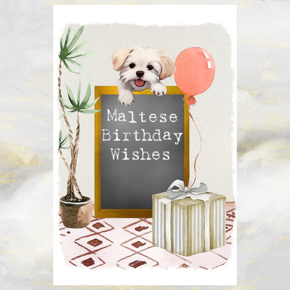 Maltese Dog Birthday Greetings Card