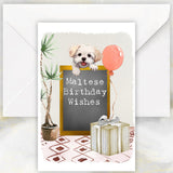 Maltese Dog Birthday Greetings Card