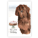 Newfoundland Dog Greetings Card, Newfoundland Dog Birthday Card, Funny Newfoundland Dog Birthday Card