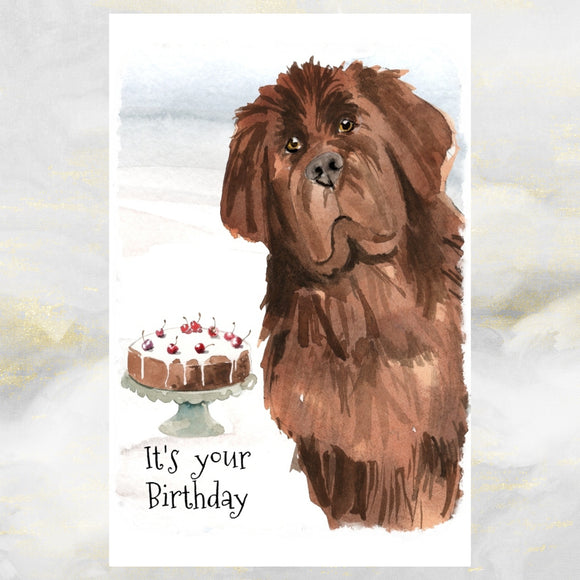 Newfoundland Dog Greetings Card, Newfoundland Dog Birthday Card, Funny Newfoundland Dog Birthday Card