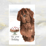 Newfoundland Dog Greetings Card, Newfoundland Dog Birthday Card, Funny Newfoundland Dog Birthday Card
