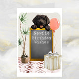 Black Newfoundland Dog Birthday Greetings Card.