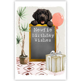 Black Newfoundland Dog Birthday Greetings Card