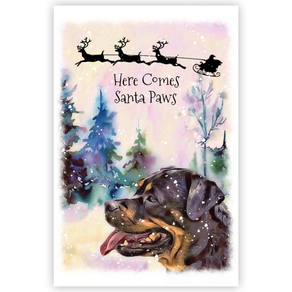 Rotty Christmas Card