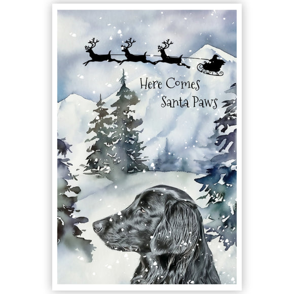 Flat Coated Retriever Christmas Card