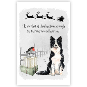 Border Collie Christmas Card