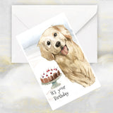 Golden Retriever Dog Birthday Card, Retriever Dog Greetings Card, Retriever Card