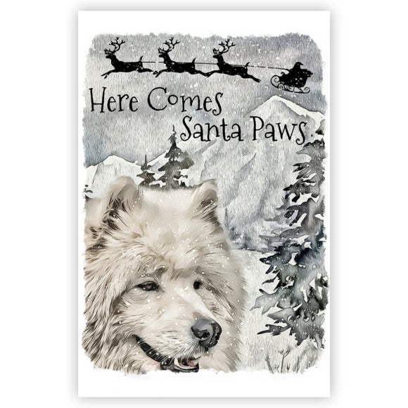 Samoyed Dog Christmas Card, Funny Samoyed Christmas Art Card