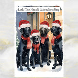 Black Labrador Dogs Christmas Card