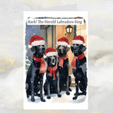 Black Labrador Dogs Christmas Card