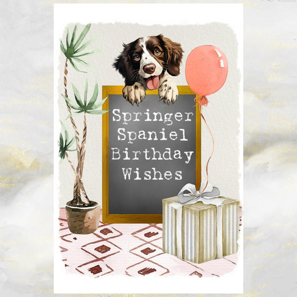 Springer Spaniel Dog Birthday Greetings Card