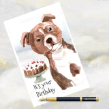Staffordshire Bull Terrier Birthday Card, Staffy Dog Greetings Card, Staffy Dog.