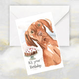 Vizsla Dog Birthday Card, Vizsla Dog Funny Birthday Card, Hungarian Vizsla Dog Birthday Card, It's Your Birthday Vizsla Greetings Card