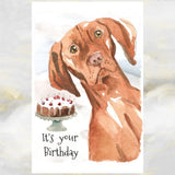 Vizsla Dog Birthday Card, Vizsla Dog Funny Birthday Card, Hungarian Vizsla Dog Birthday Card, It's Your Birthday Vizsla Greetings Card