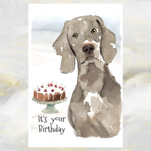 Weimaraner Dog Birthday Card, Weimaraner Greetings Card, Weimaraner Birthday Card