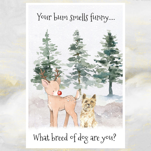 Funny Cairn Terrier Dog Christmas Card, Cairn Terrier Christmas Art Card.