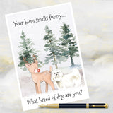 Maltese Dog Christmas Card