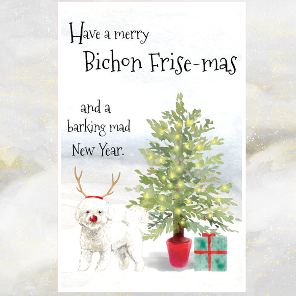 bichon frise christmas card