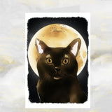 Black Cat Greetings Card