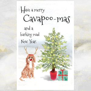 cavapoo dog christmas card